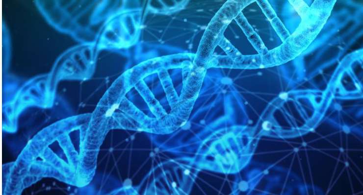 Sperm DNA fragmentation testing