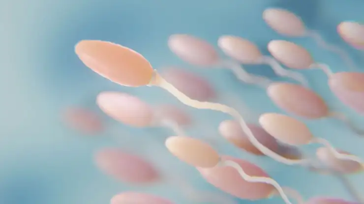 Understanding Male Infertility