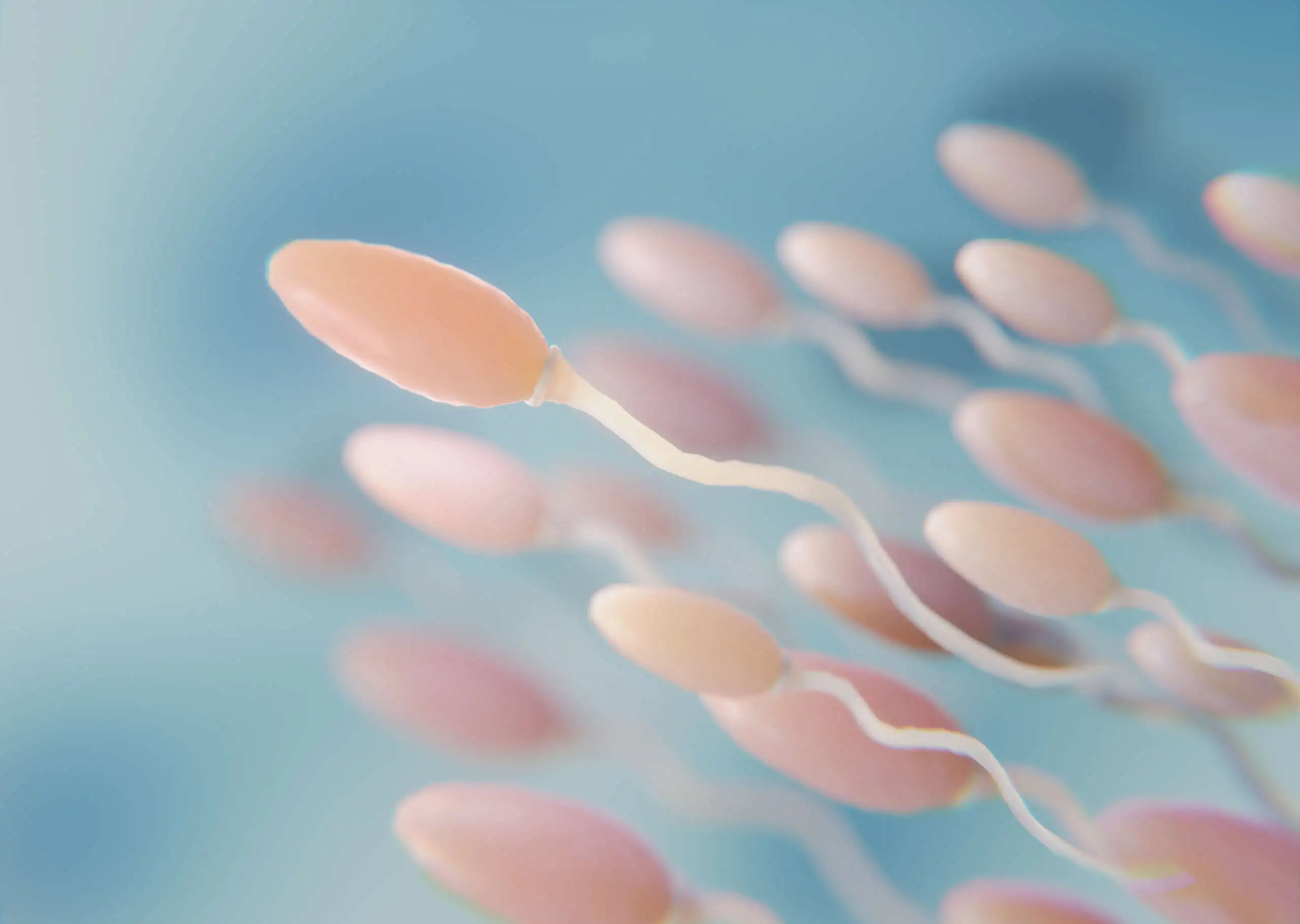 Understanding Male Infertility